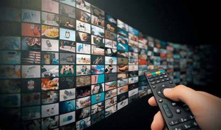 Streaming catalog organization by genre and metadata