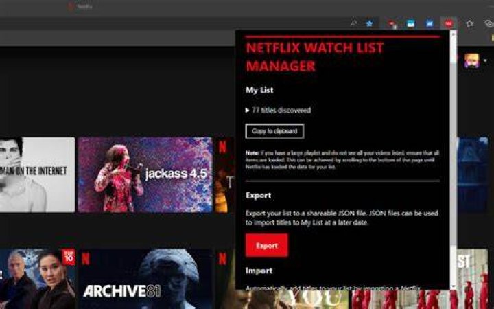 Queue and planning features on Netflix