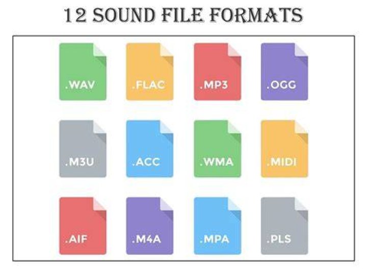 Organize downloaded music files