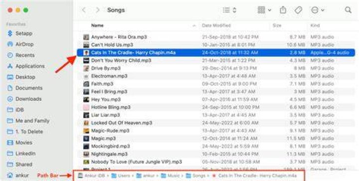 Organizing downloaded music for offline playback