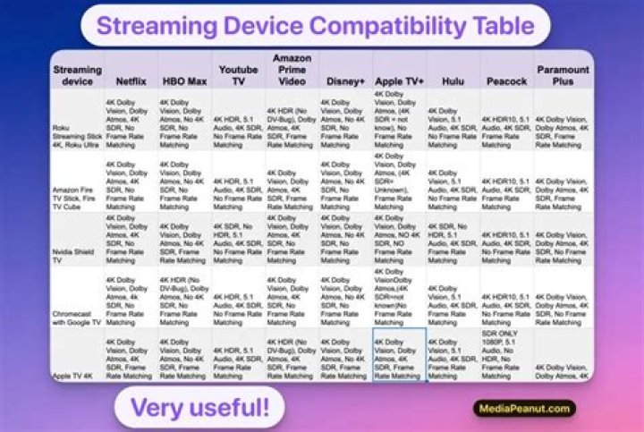 Device compatibility checks for streaming playback