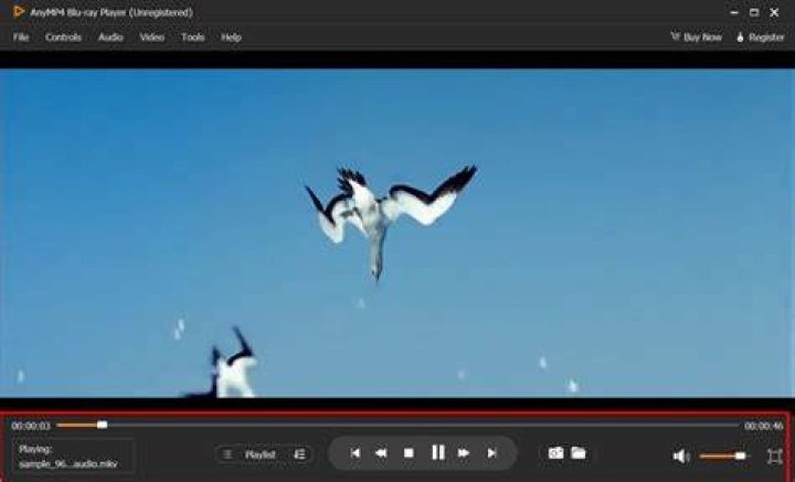 Streaming player with play button and playback controls