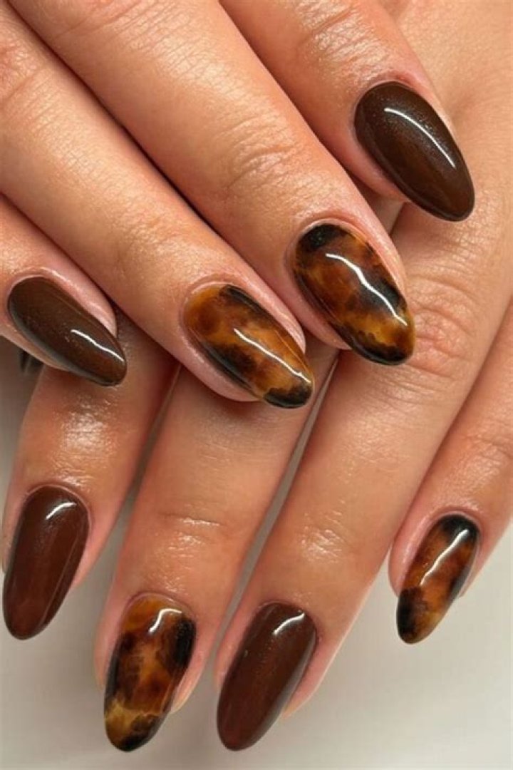 Tortoiseshell Amber Brown Warm Aesthetic Nails 2026