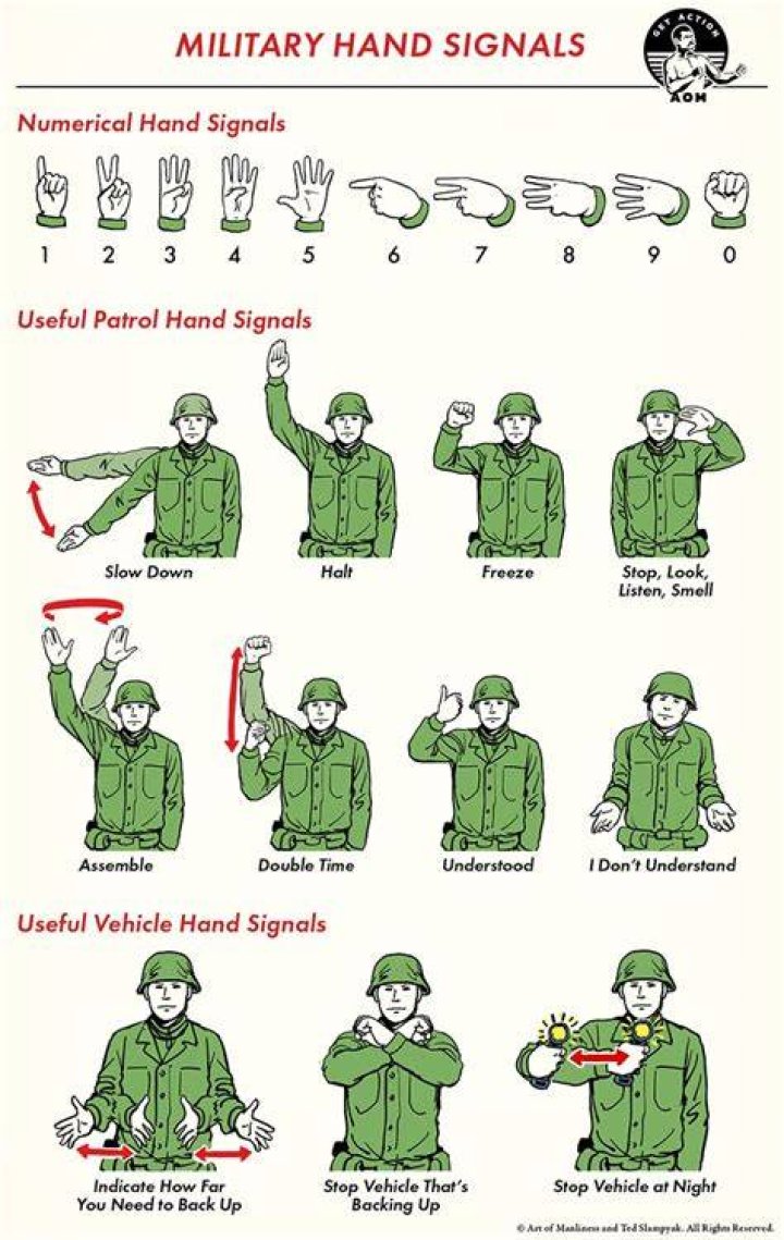 Browsing signals to check before choosing something to watch